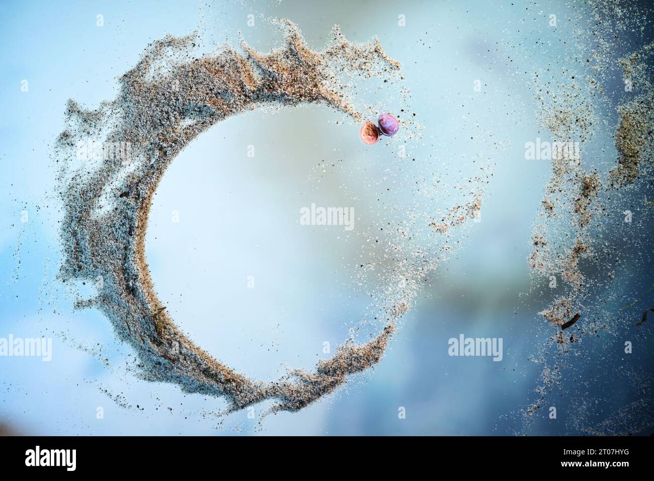 Open ring arranged with sea sand and a pink clam shell on a blue background, abstract still life art, metaphor for the aura of the ocean, concept for Stock Photo