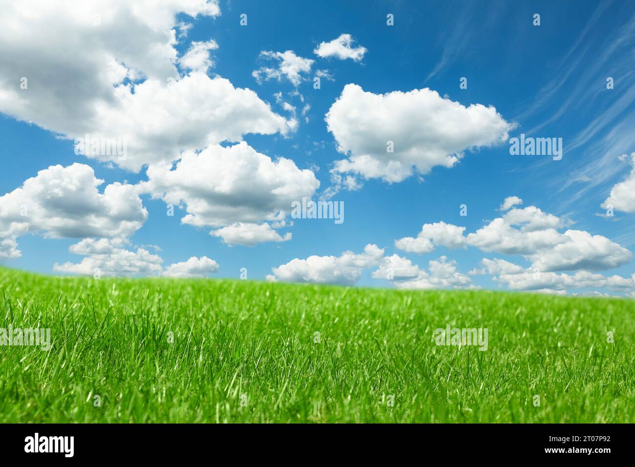 Lush green grass under bright blue sky with fluffy clouds Stock Photo ...