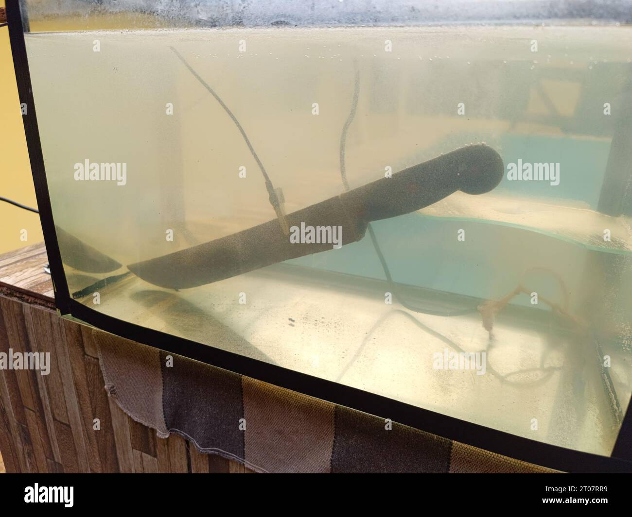 Electrolysis sodium chloride hi-res stock photography and images - Alamy