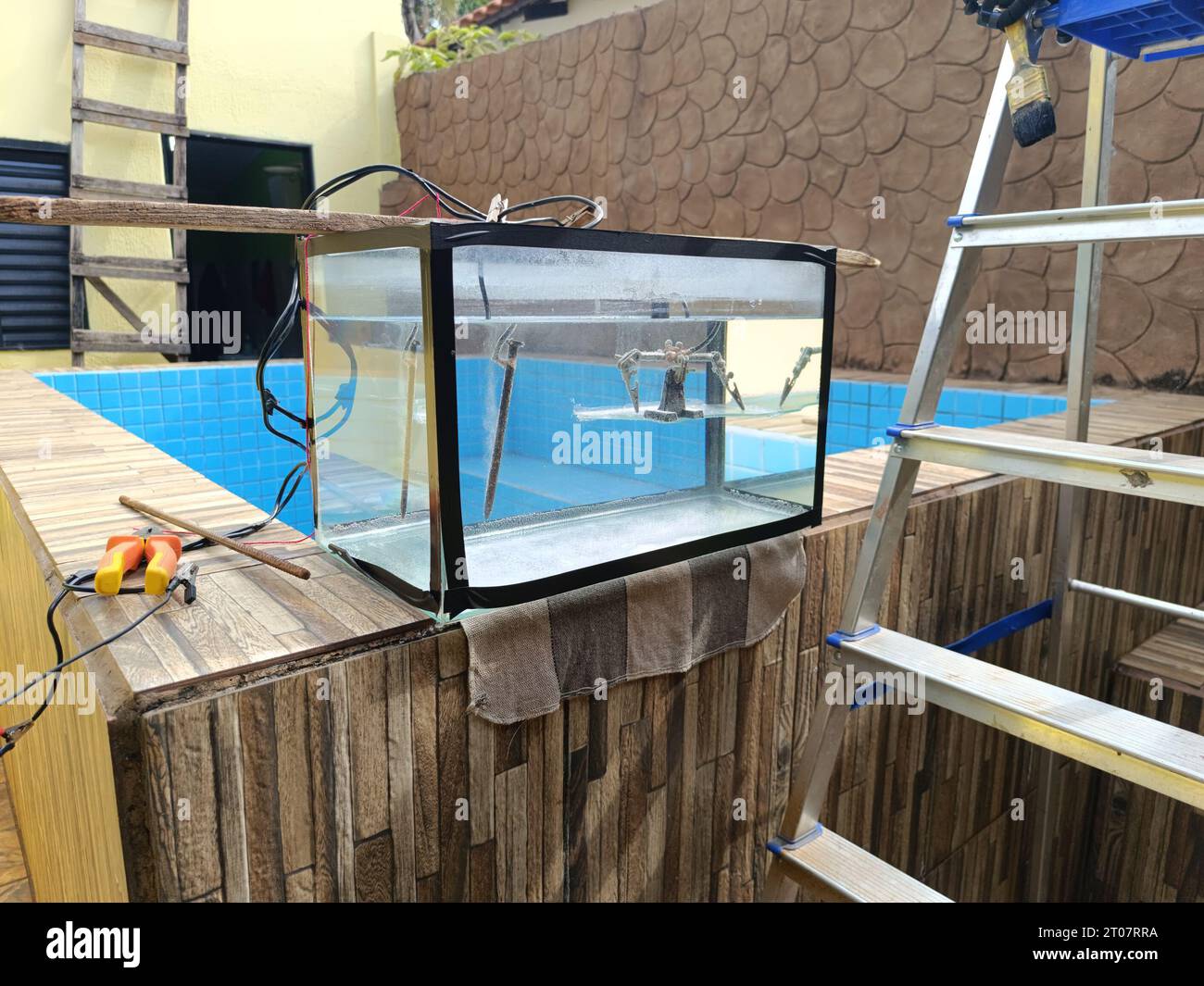 aquarium with metal items undergoing electrolysis to remove rust Stock