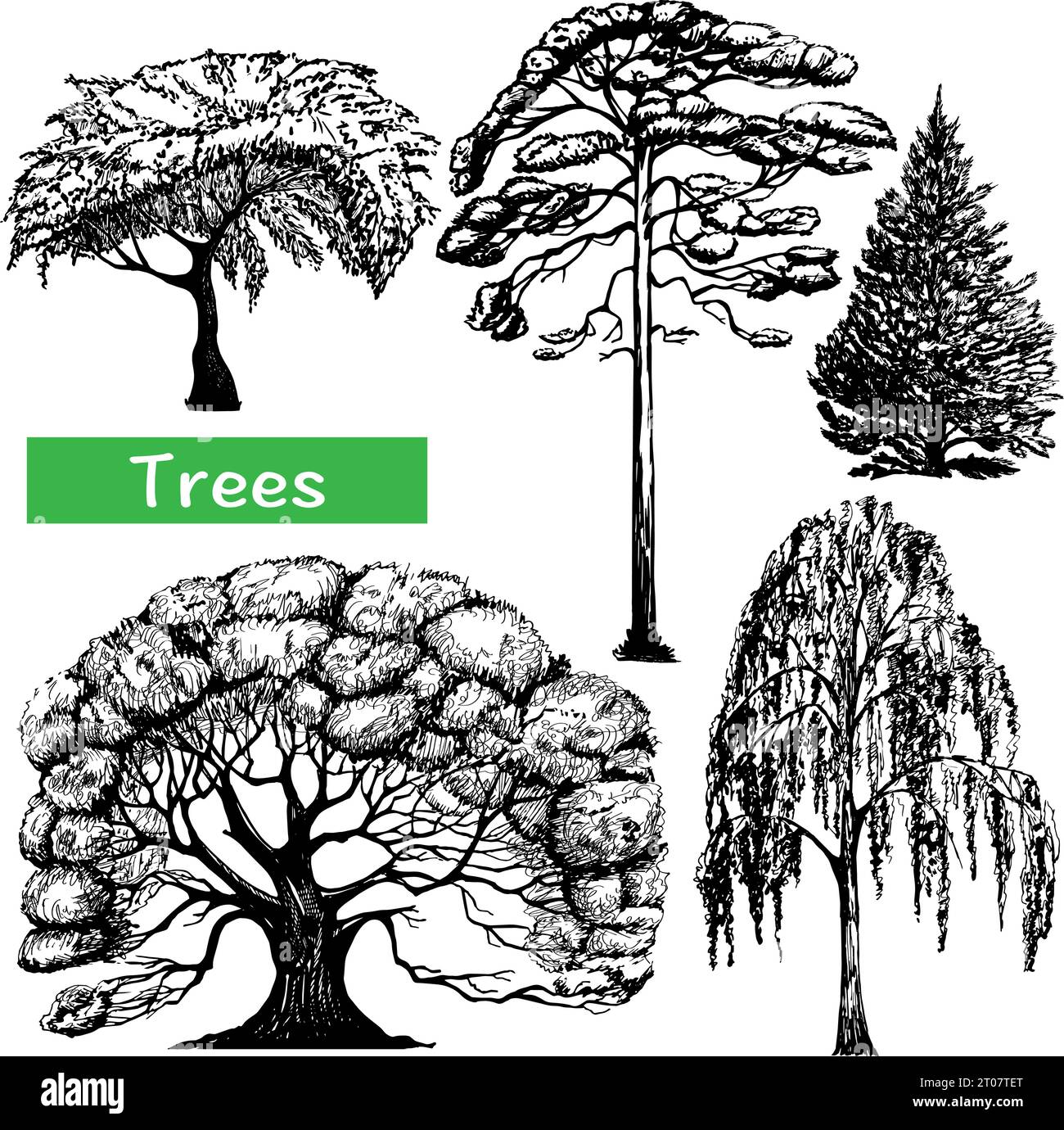 Autumn summer spring forest deciduous and coniferous trees icons