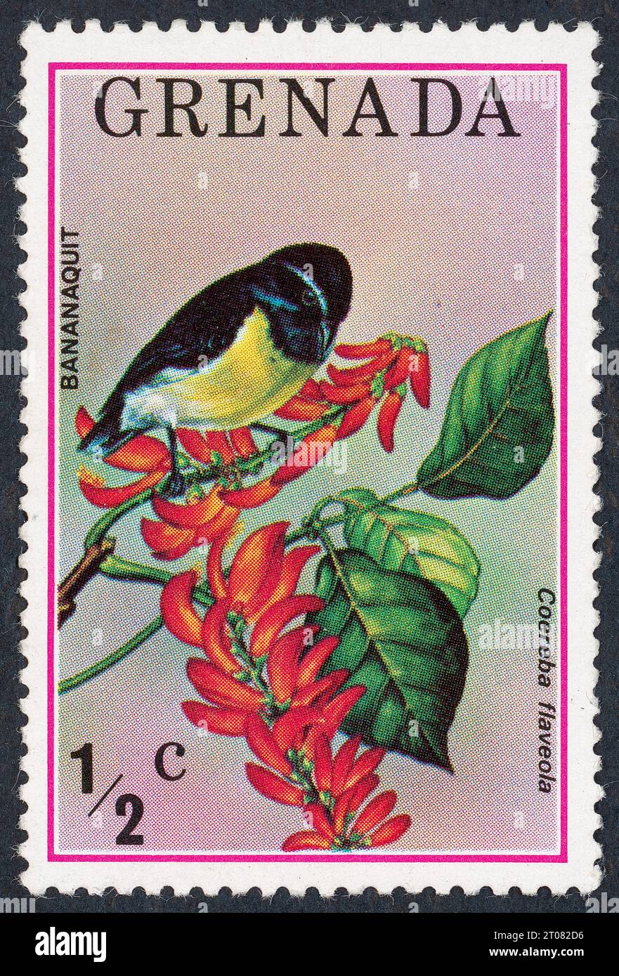 The bananaquit (Coereba flaveola). Postage stamp issued in 1976 in Grenada. Stock Photo