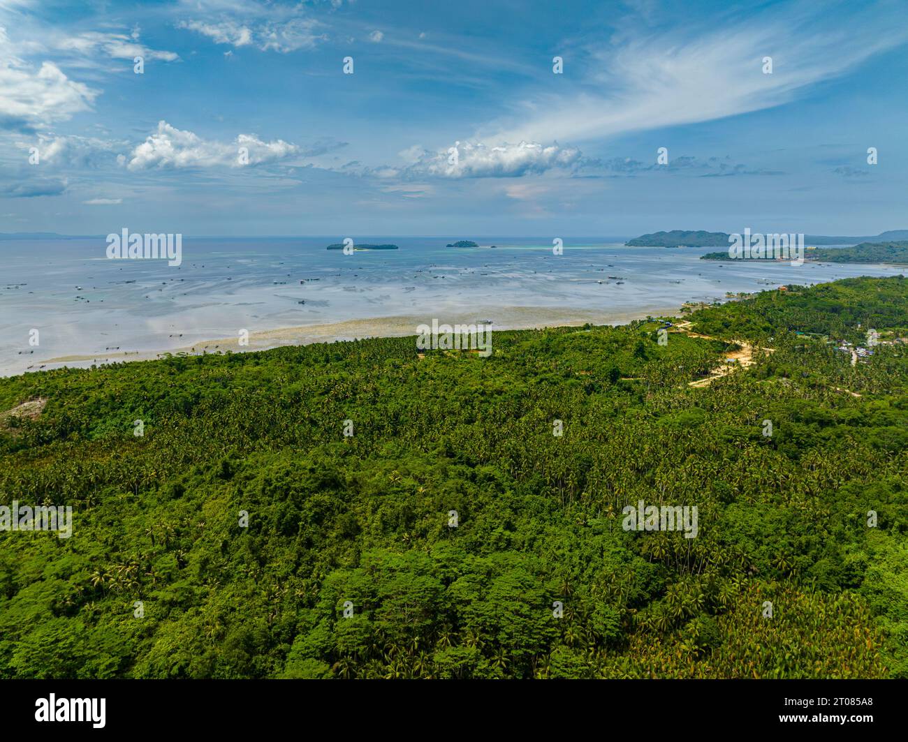 Tropical Island with green trees and plants. Blue sky and clouds ...