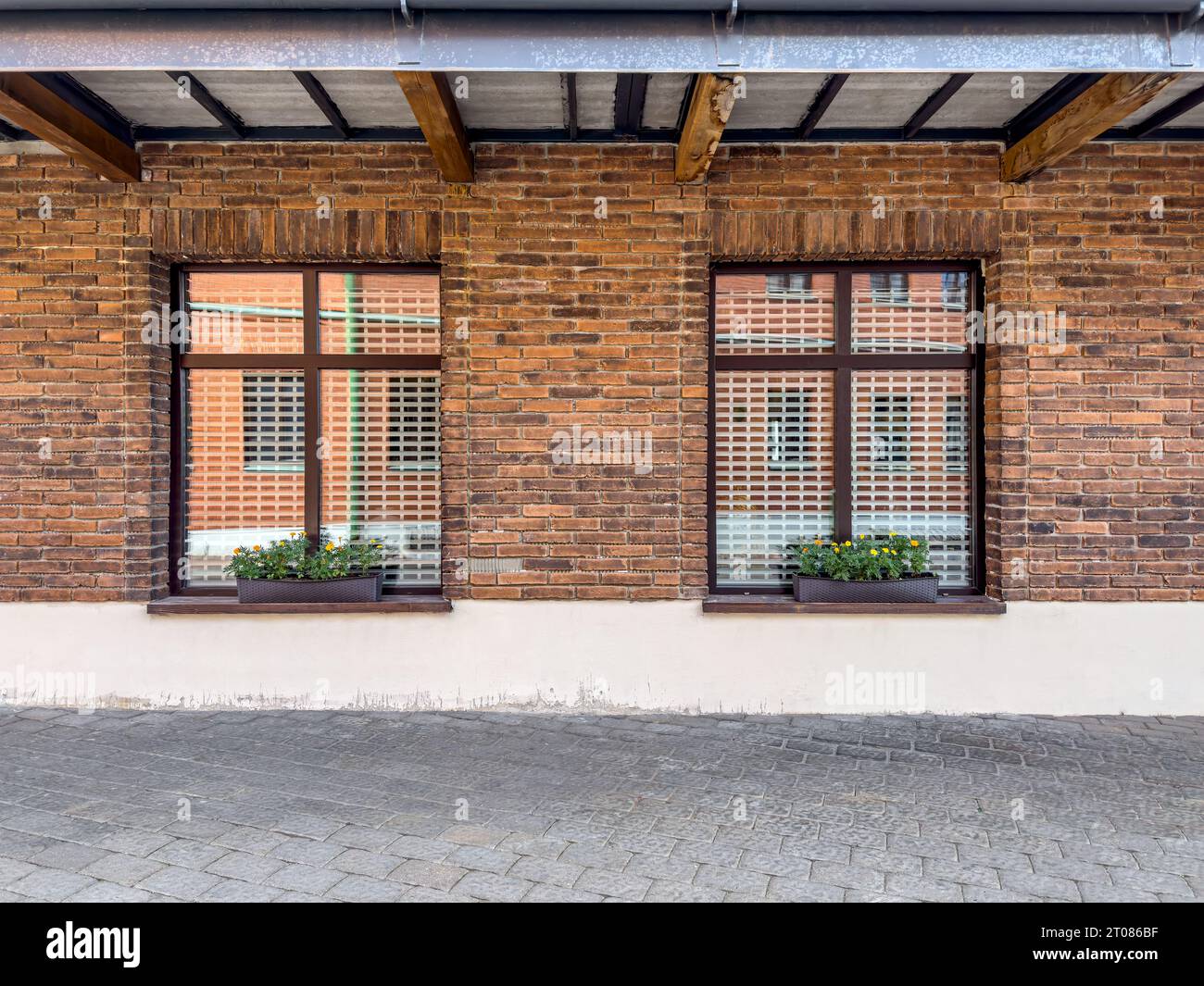 two windows with flower pots on red brick wall. renovated old building facade. Stock Photo