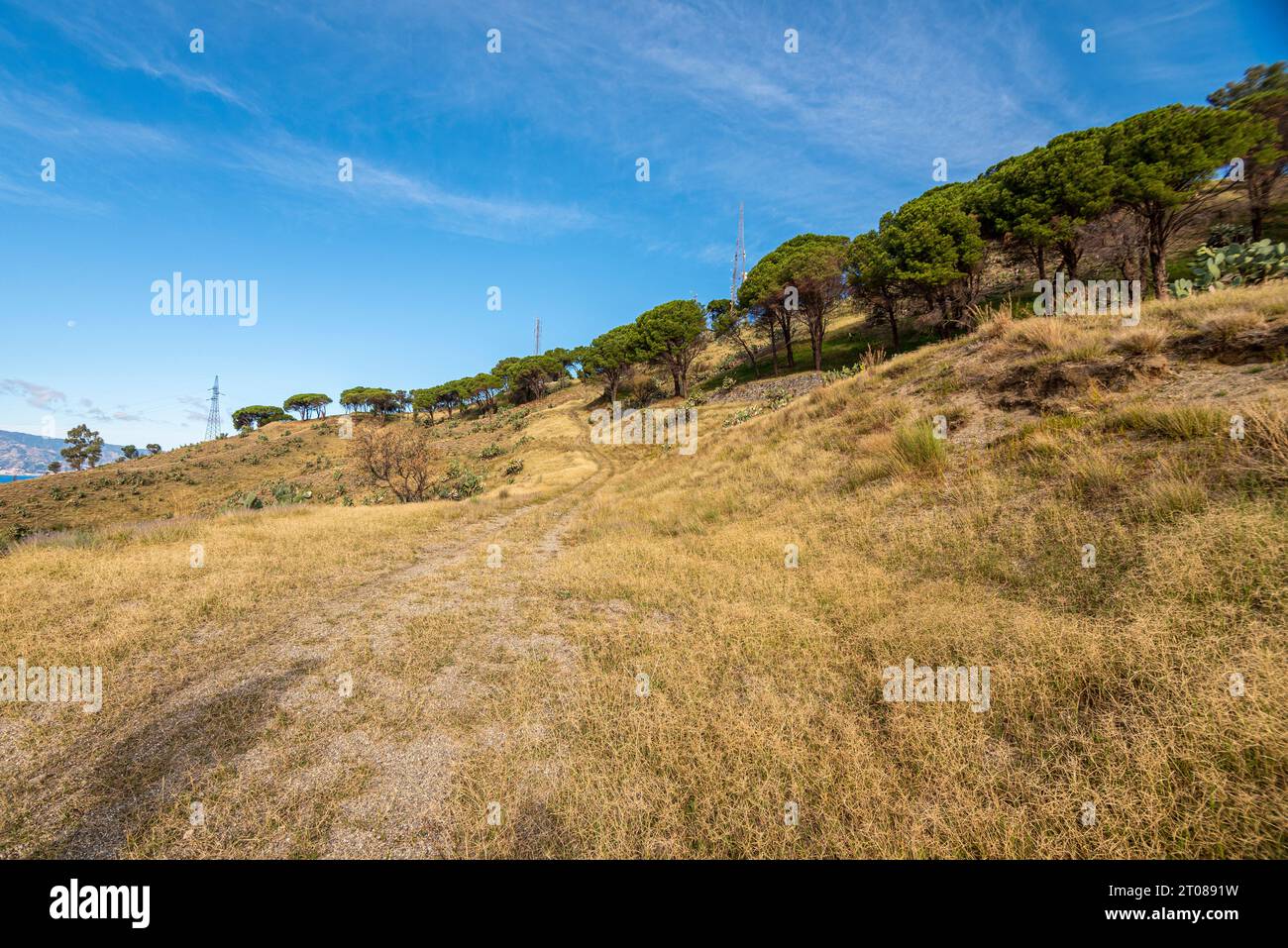Sentiero silhouette hi-res stock photography and images - Alamy