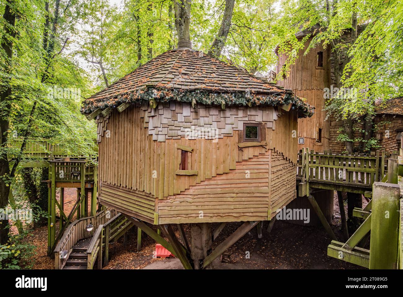 The quirky Treehouse at Alnwick Gardens in Northumberland is around sixty feet off the ground and has a restaurant and wedding venue. Stock Photo