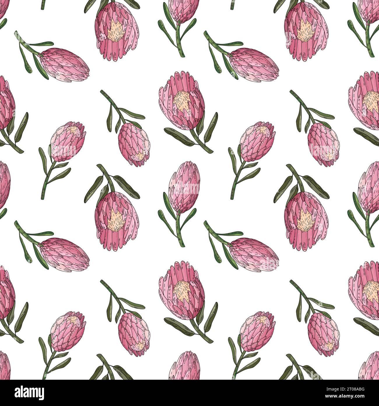 Hand drawn vector seamless pattern of king protea Stock Vector Image ...