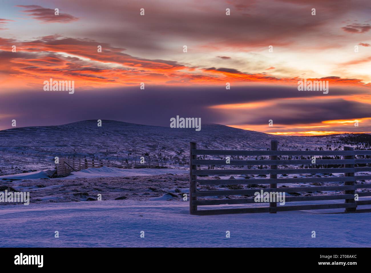 Sunrise over snow covered field landscape hi-res stock photography and ...