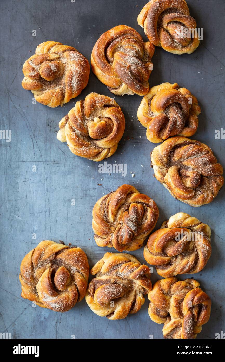 Homemade cinnamon buns on a grey background Stock Photo