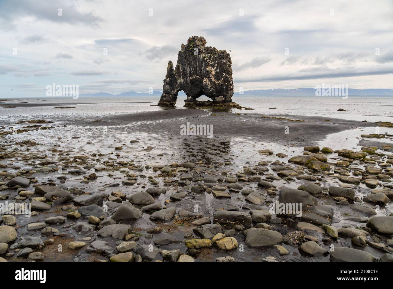 The Hvitserkur Basalt Stack in Northwest Iceland Stock Photo - Alamy