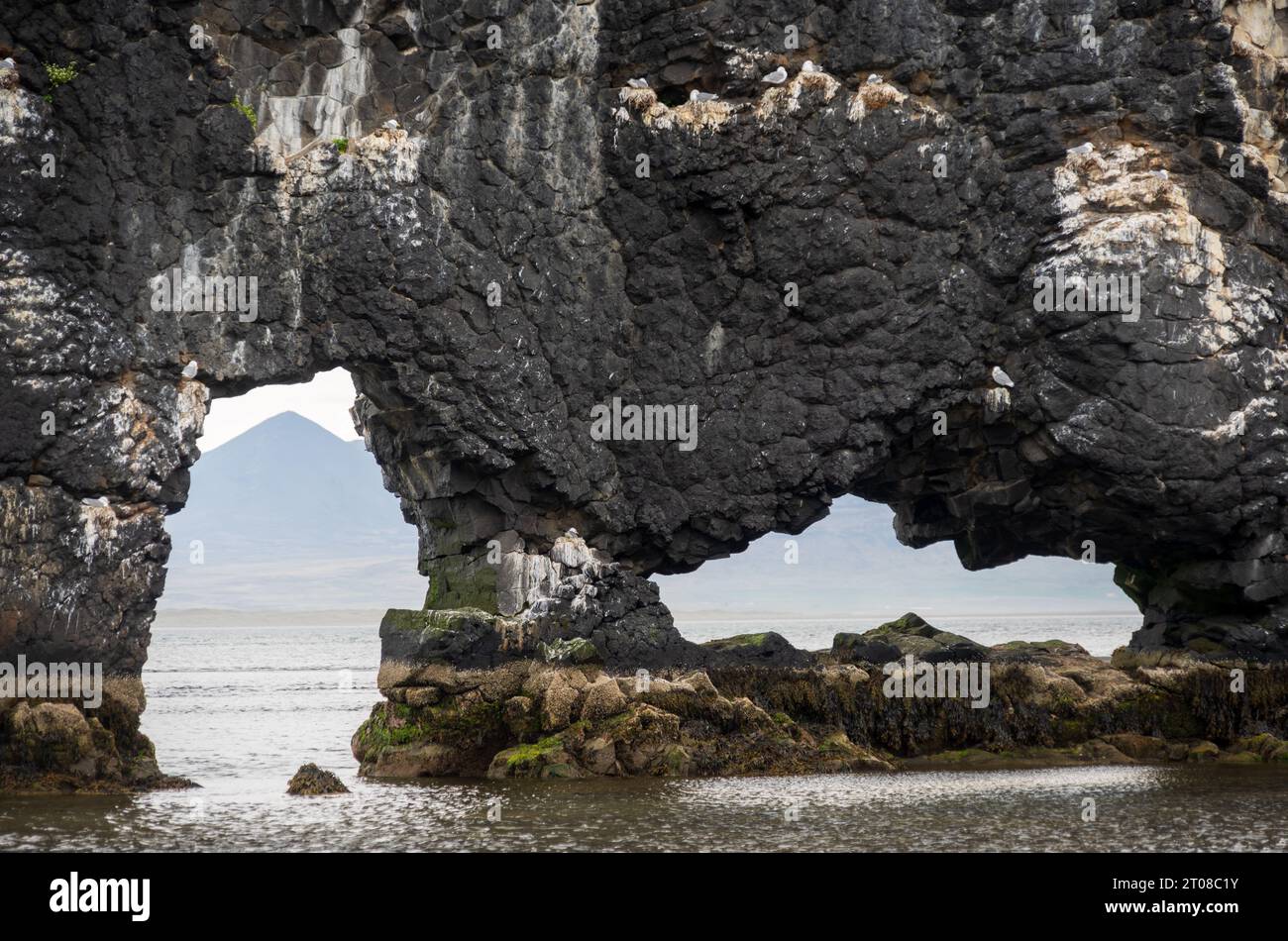 The Hvitserkur Basalt Stack in Northwest Iceland Stock Photo - Alamy