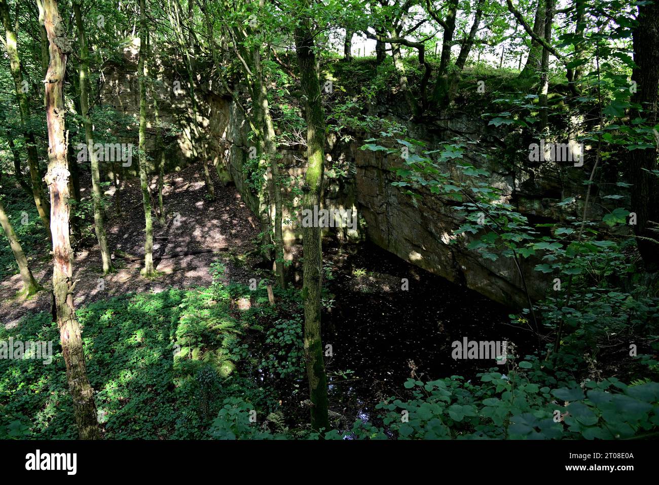 Around the UK Old Quarry Face within the 'Fairy Glen at Appley Bridge