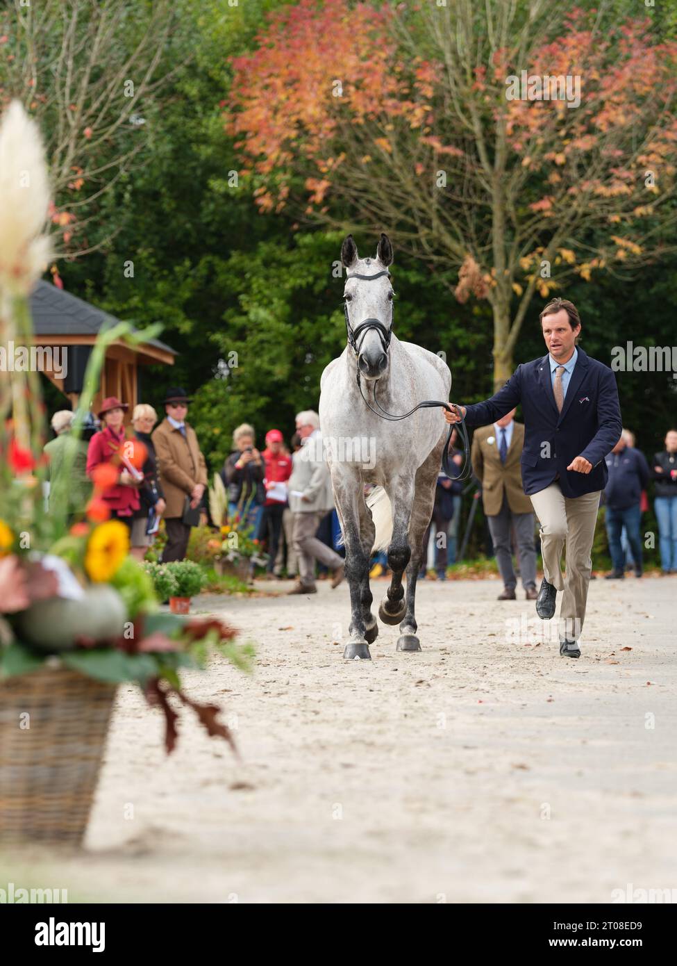 Nicolas TOUZAINT of France with Diabolo Menthe during the first horse