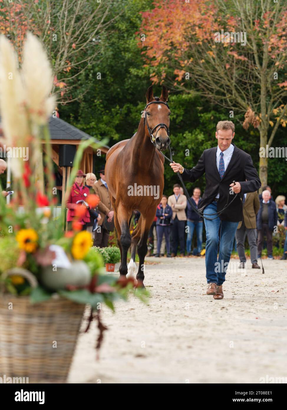 Jean Lou BIGOT of France with Utrillo Du Halage during the first horse