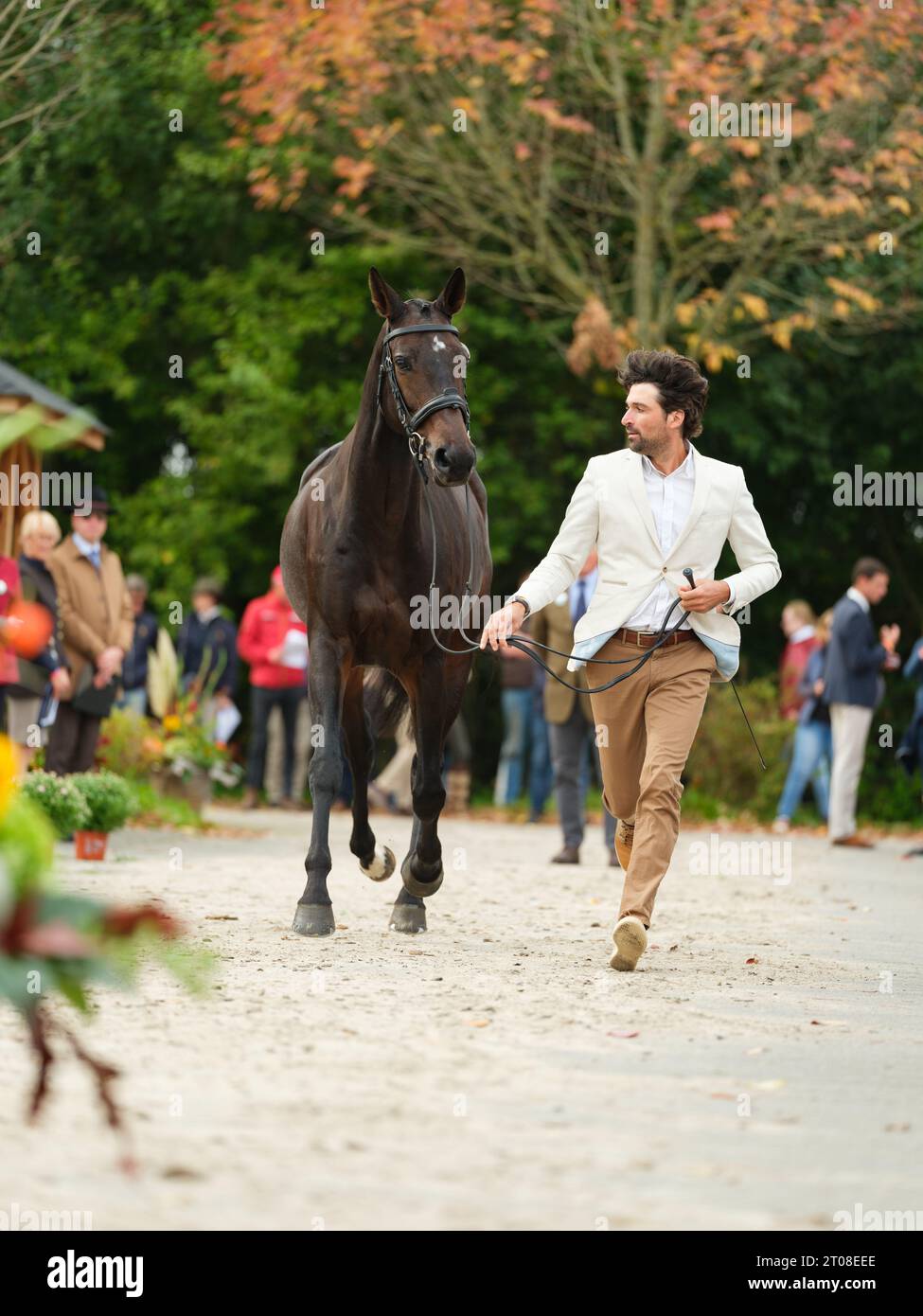 Raphael COCHET of France with Difda Du Very during the first horse inspection at the Boekelo