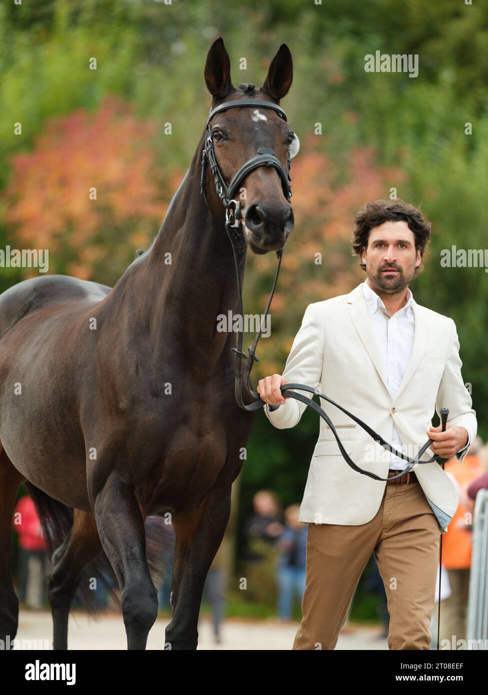 Raphael COCHET of France with Difda Du Very during the first horse inspection at the Boekelo