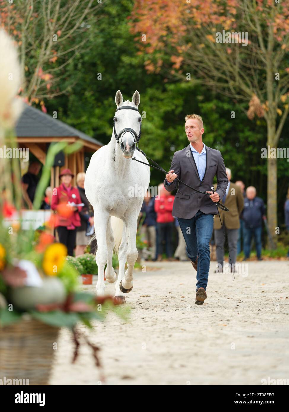 Christopher SIX of France with Totem De Brecey during the first horse