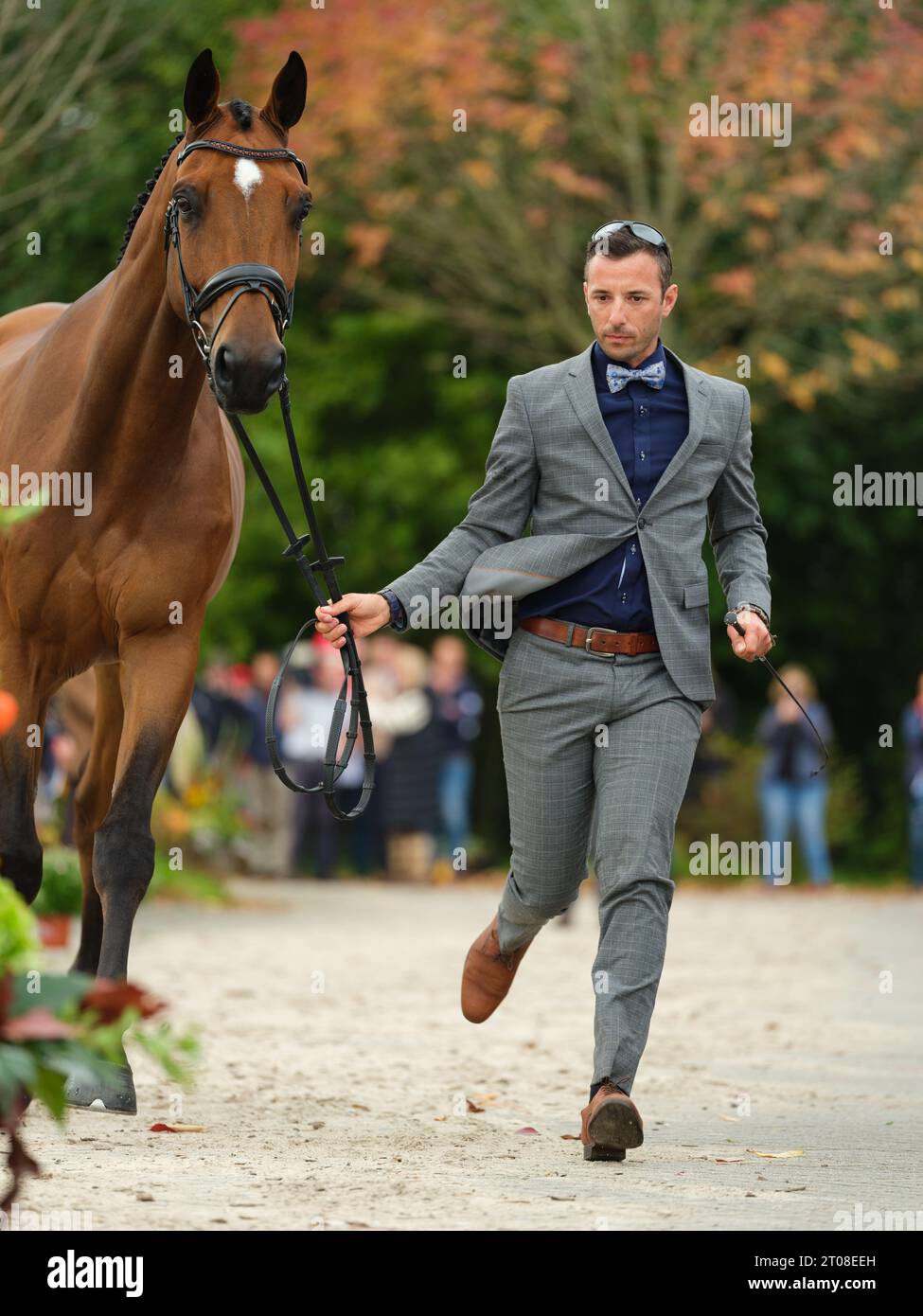 Sebastien CAVAILLON of France with Elipso De La Vigne during the first
