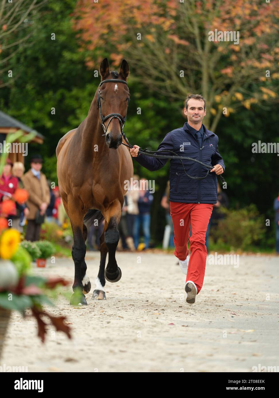 Benjamin MASSIE of France with Filao De Perle during the first horse