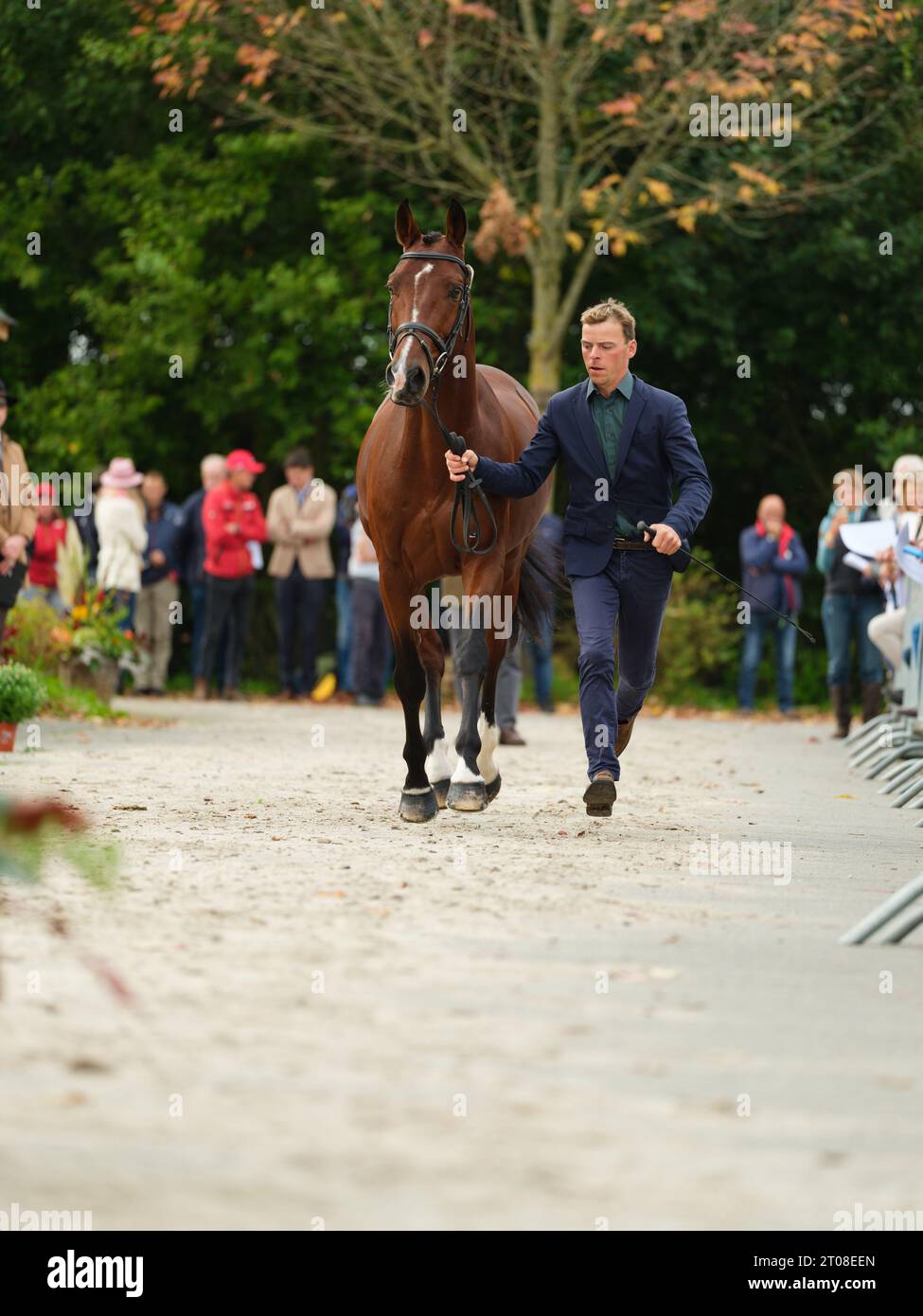 Camille LEJEUNE of France with Good Size Des Quatre Chenes during the