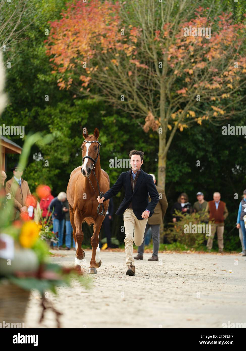 Felix VOGG of Switzerland with Dao De L'Ocean during the first horse