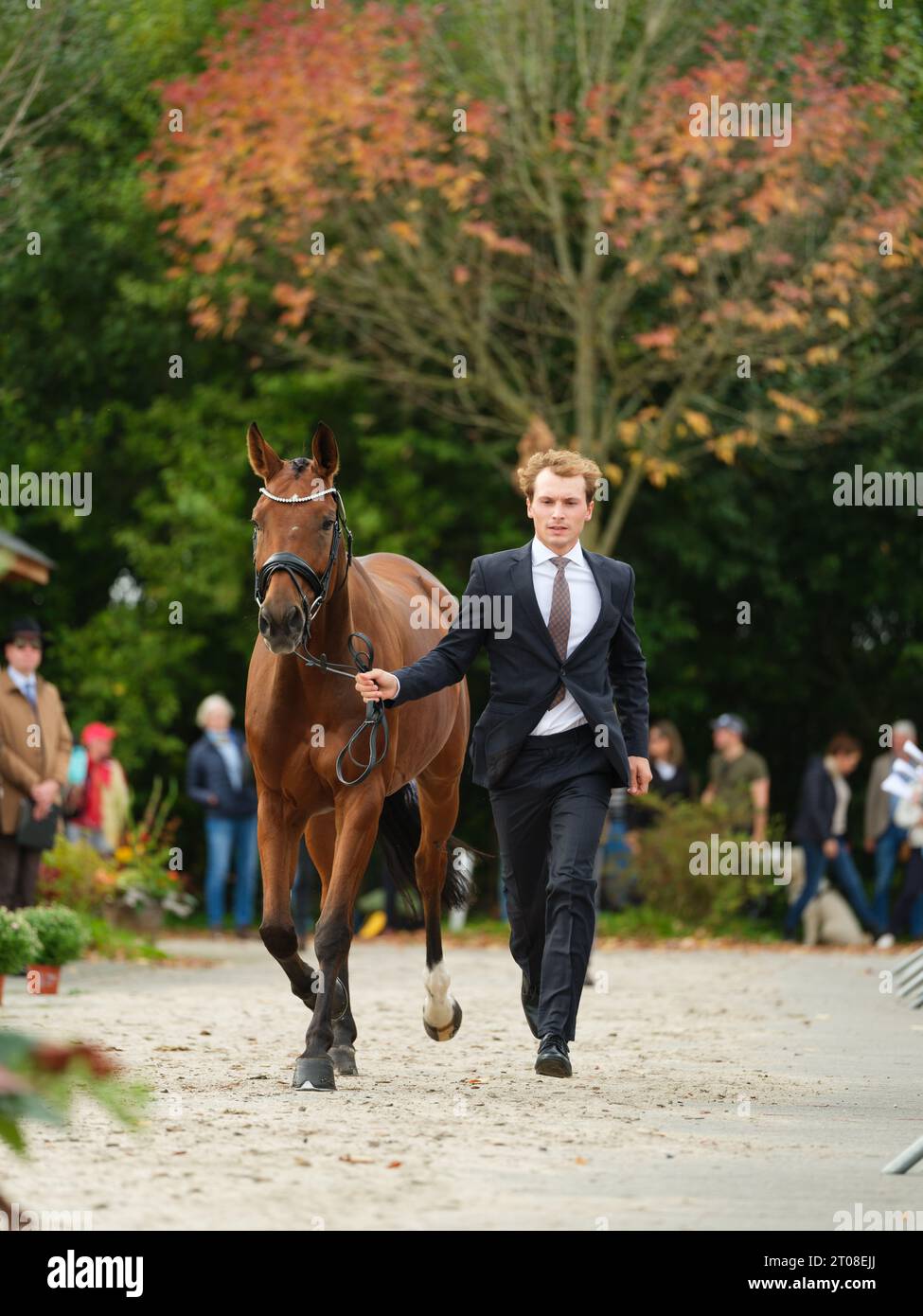 Niklas BSCHORER of Germany with Back In Time 2 during the first horse