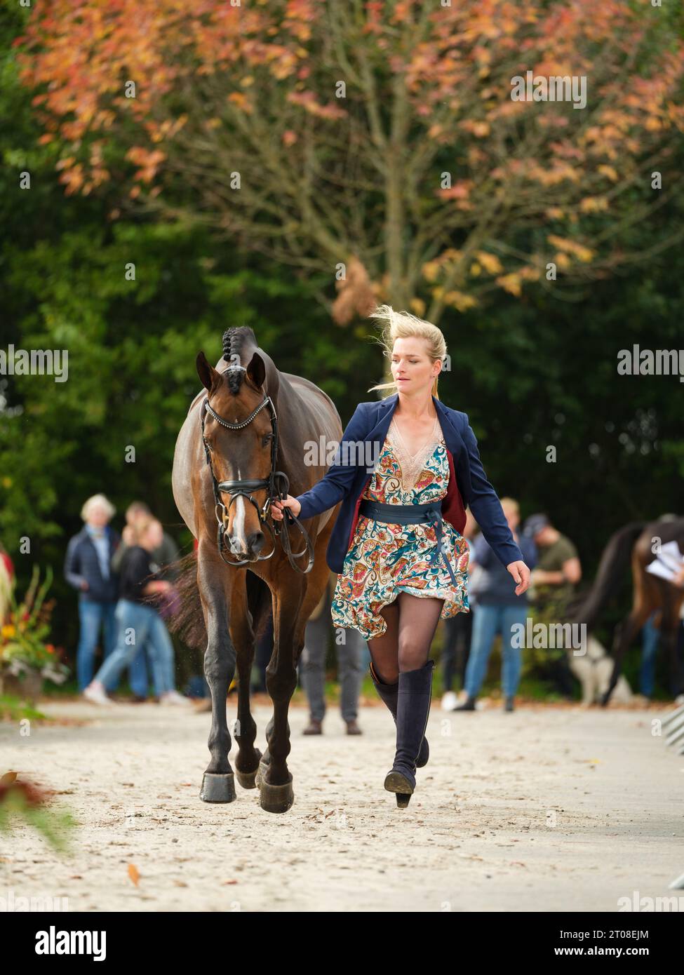 Julia KRAJEWSKI of Germany with Nickel 21 during the first horse