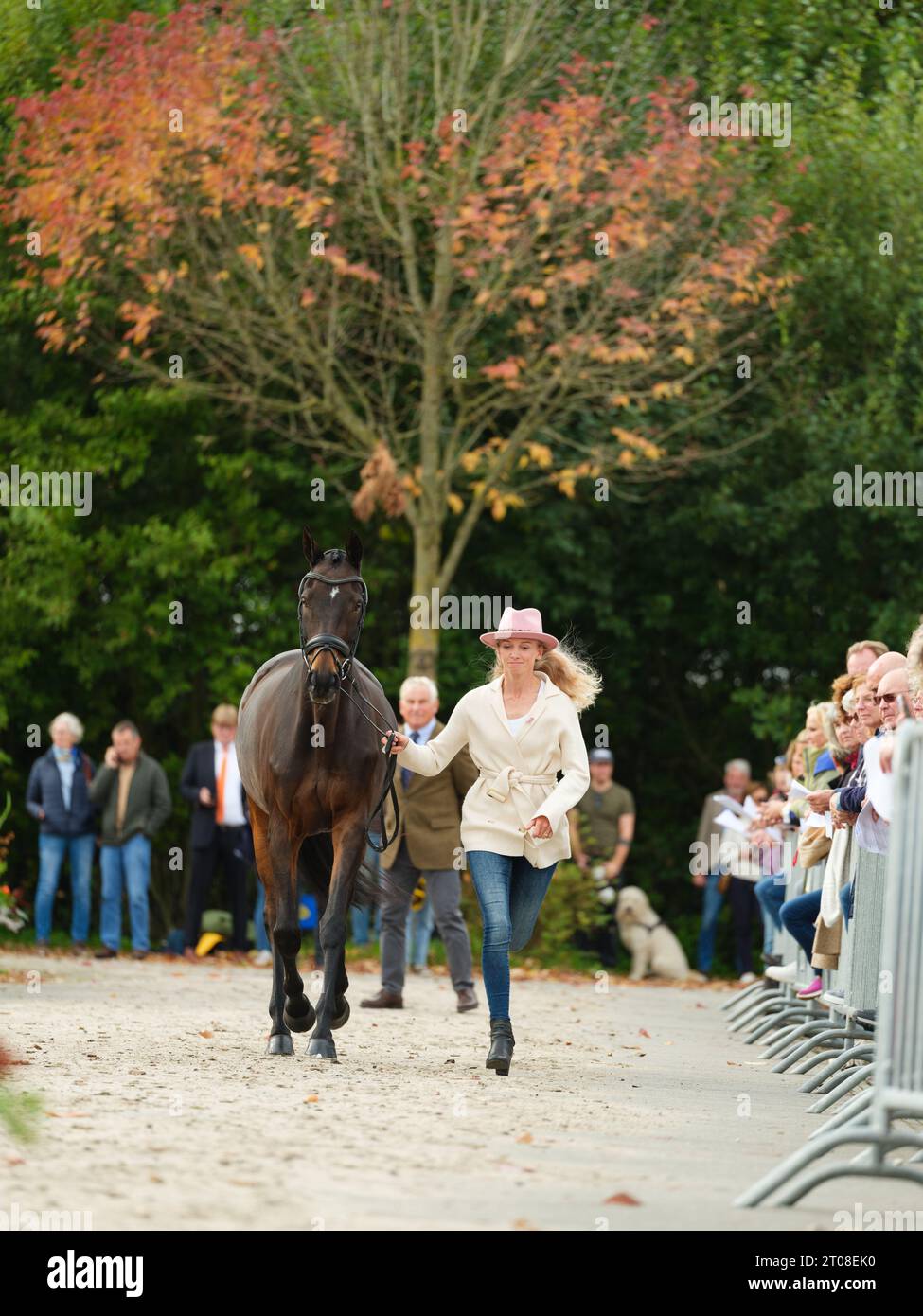 Anna SIEMER of Germany with Frh Butts Avondale during the first horse