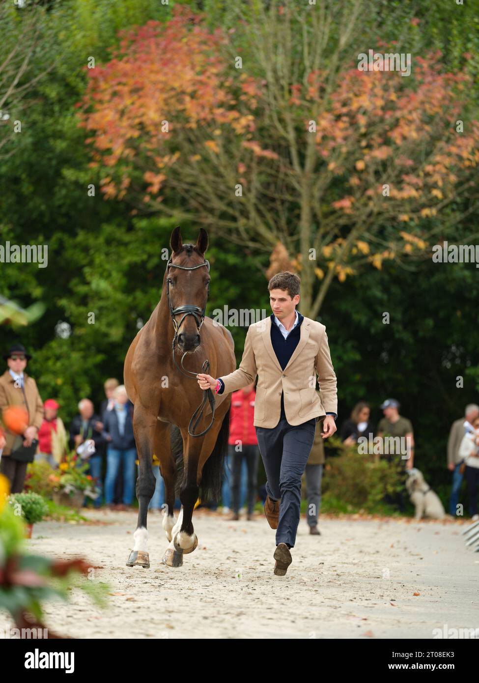 Christoph WAHLER of Germany with D