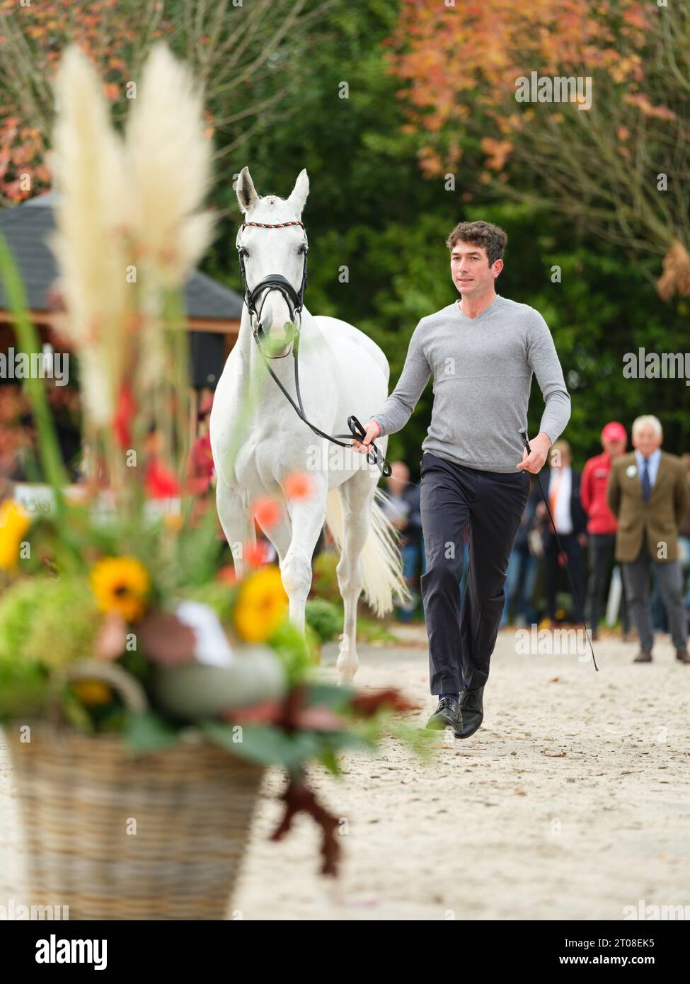 Nicolai ALDINGER of Germany with Timmo during the first horse