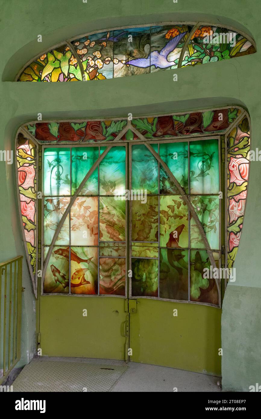 Stained glass window in the aquarium of the École de Nancy museum Stock Photo