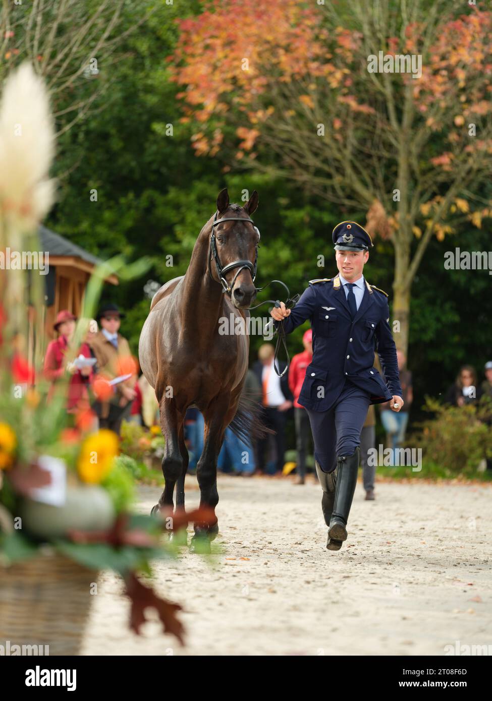 Felix ETZEL of Germany with Tsf Polartanz during the first horse