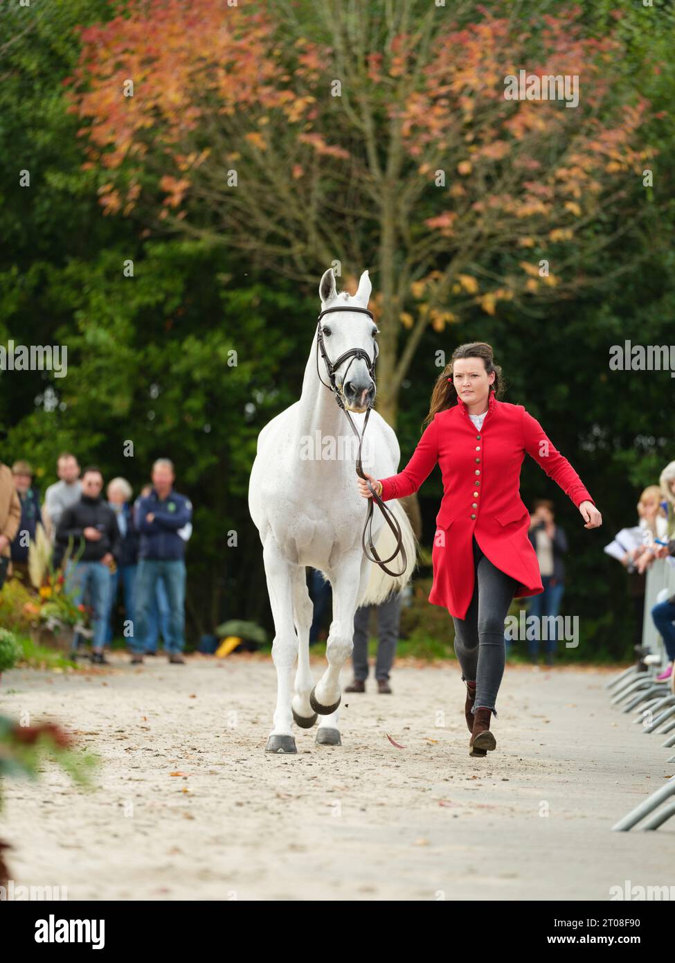 Meghan HEALY of Ireland with Think It Over during the first horse inspection at the Boekelo