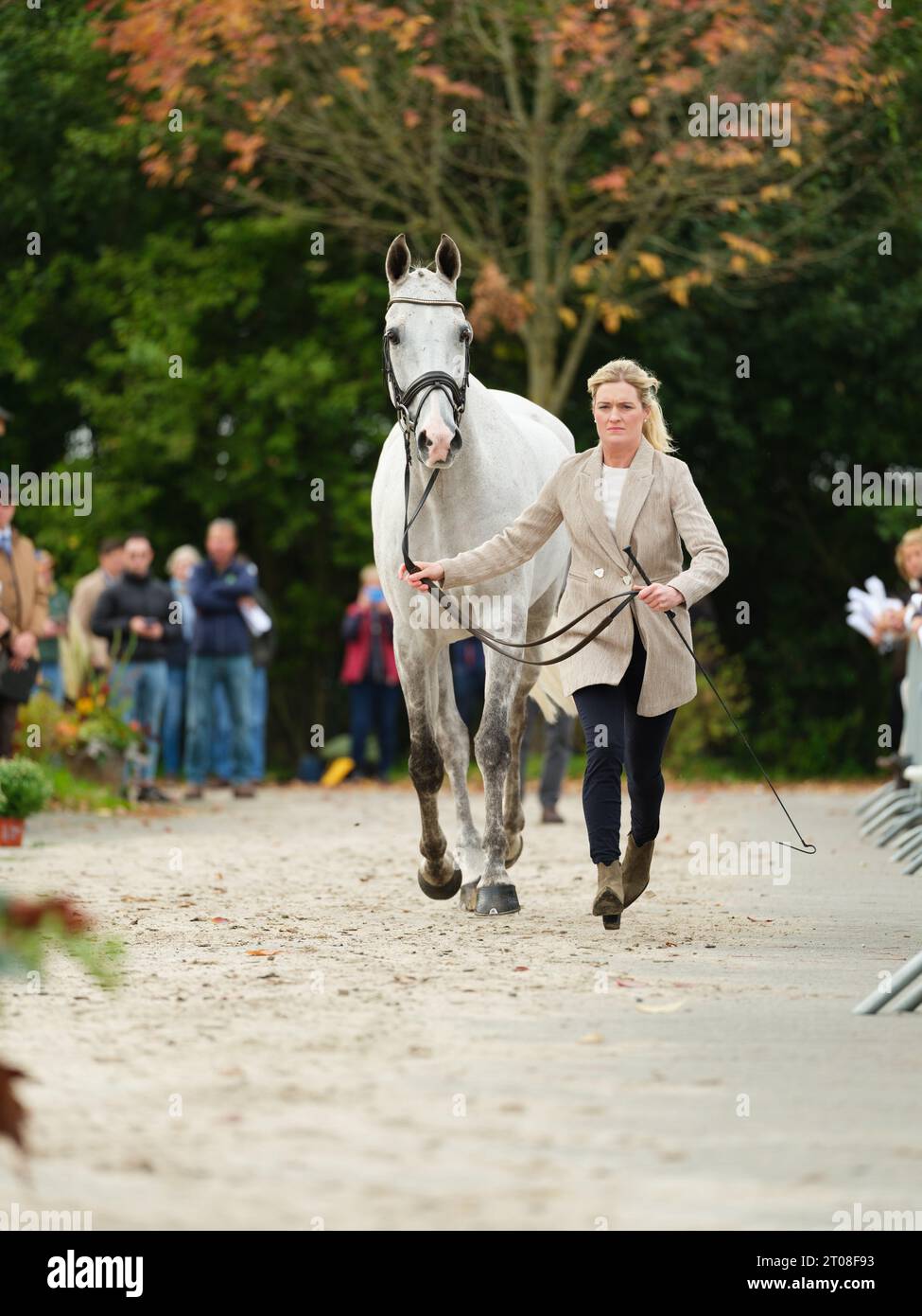 Clare ABBOTT of Ireland with Jewelent during the first horse inspection