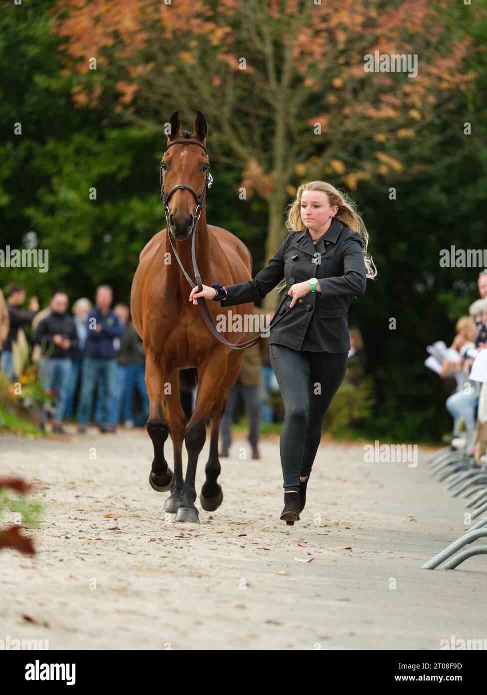 Tara DIXON of Ireland with Master Smart during the first horse