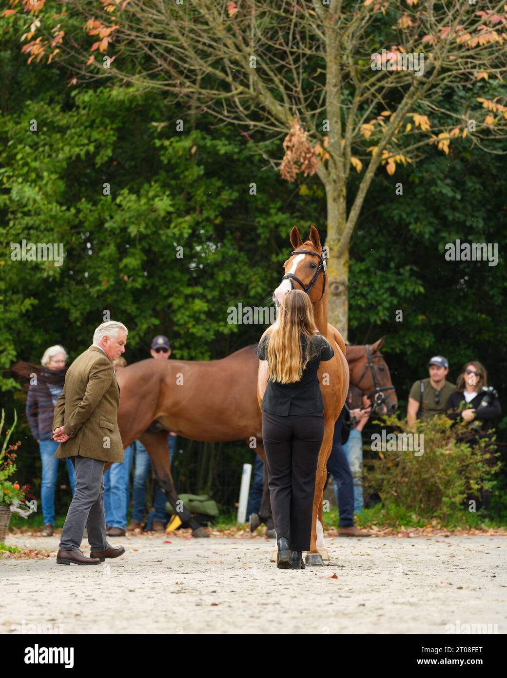Amanda ANDERSSON of Sweden with Jersey during the first horse inspection at the Boekelo Horse