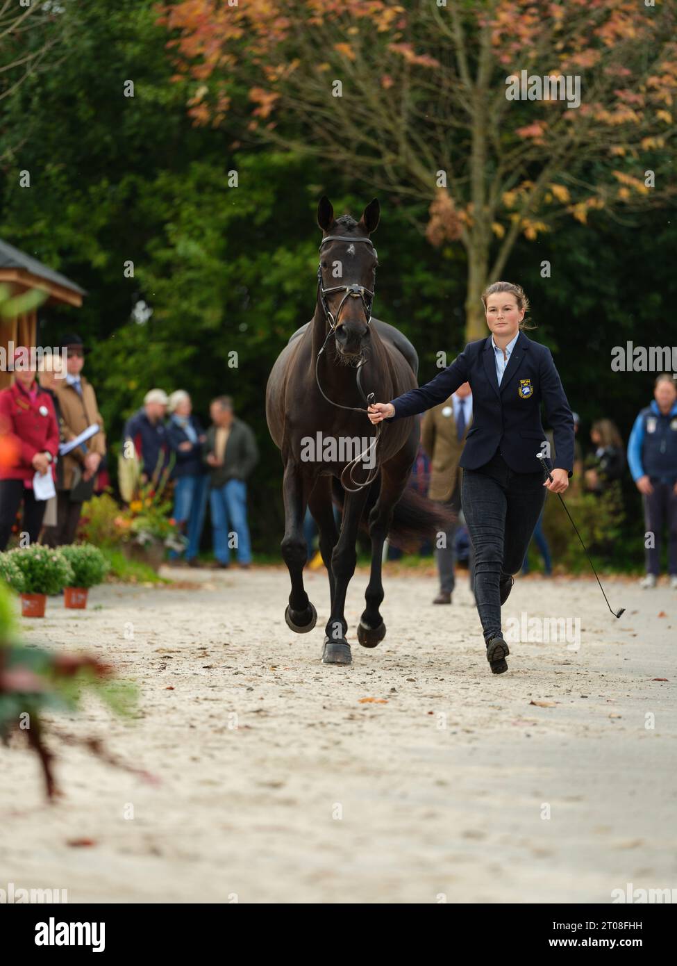 Malin JOSEFSSON of Sweden with Maggan V during the first horse inspection at the Boekelo Horse