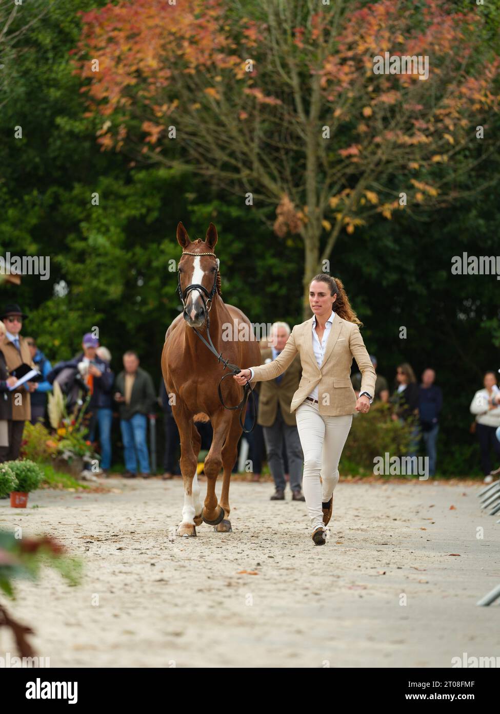 Merel BLOMHULSMAN of Netherlands with Vesuve D
