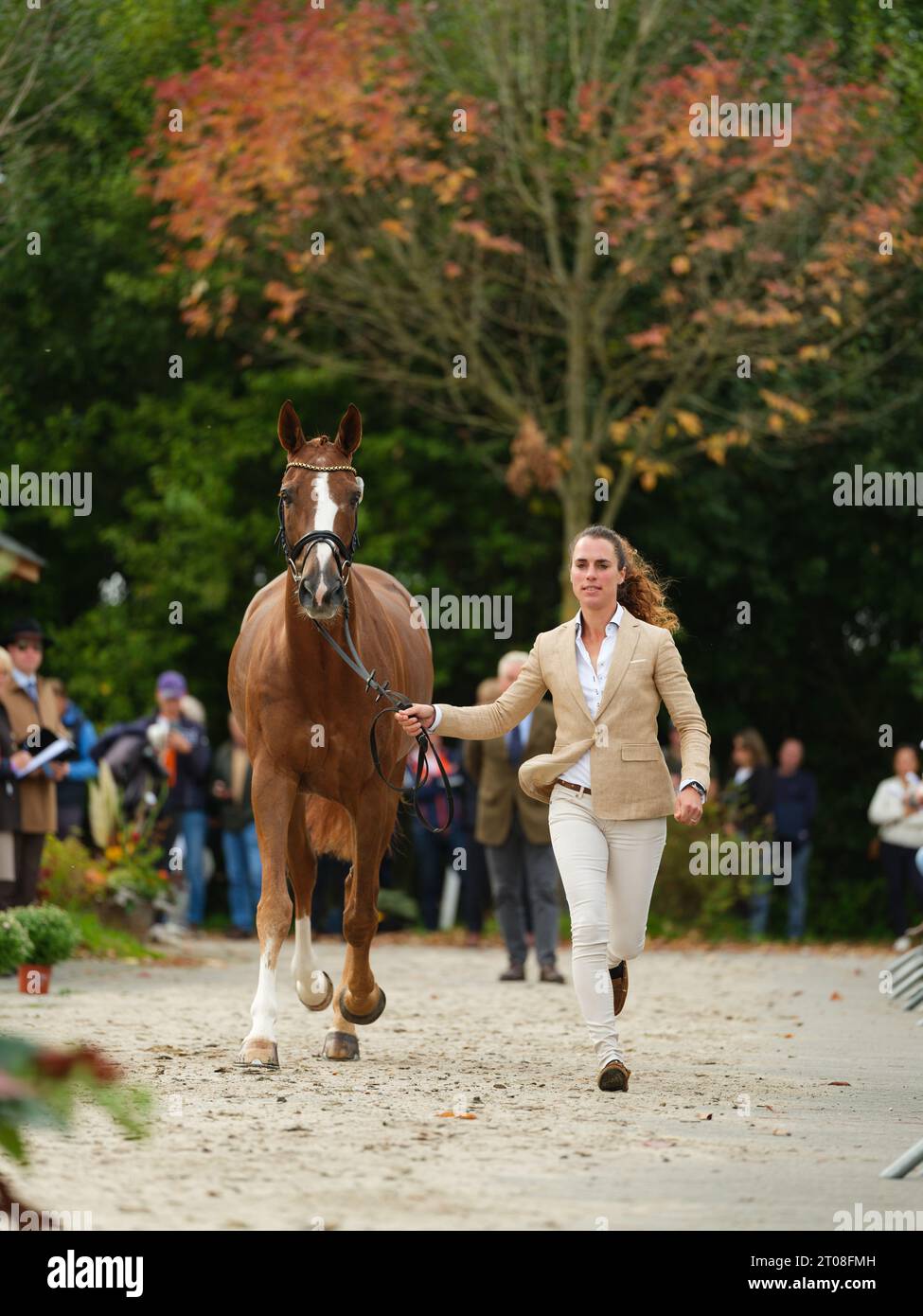 Merel BLOMHULSMAN of Netherlands with Vesuve D'Aveyron during the