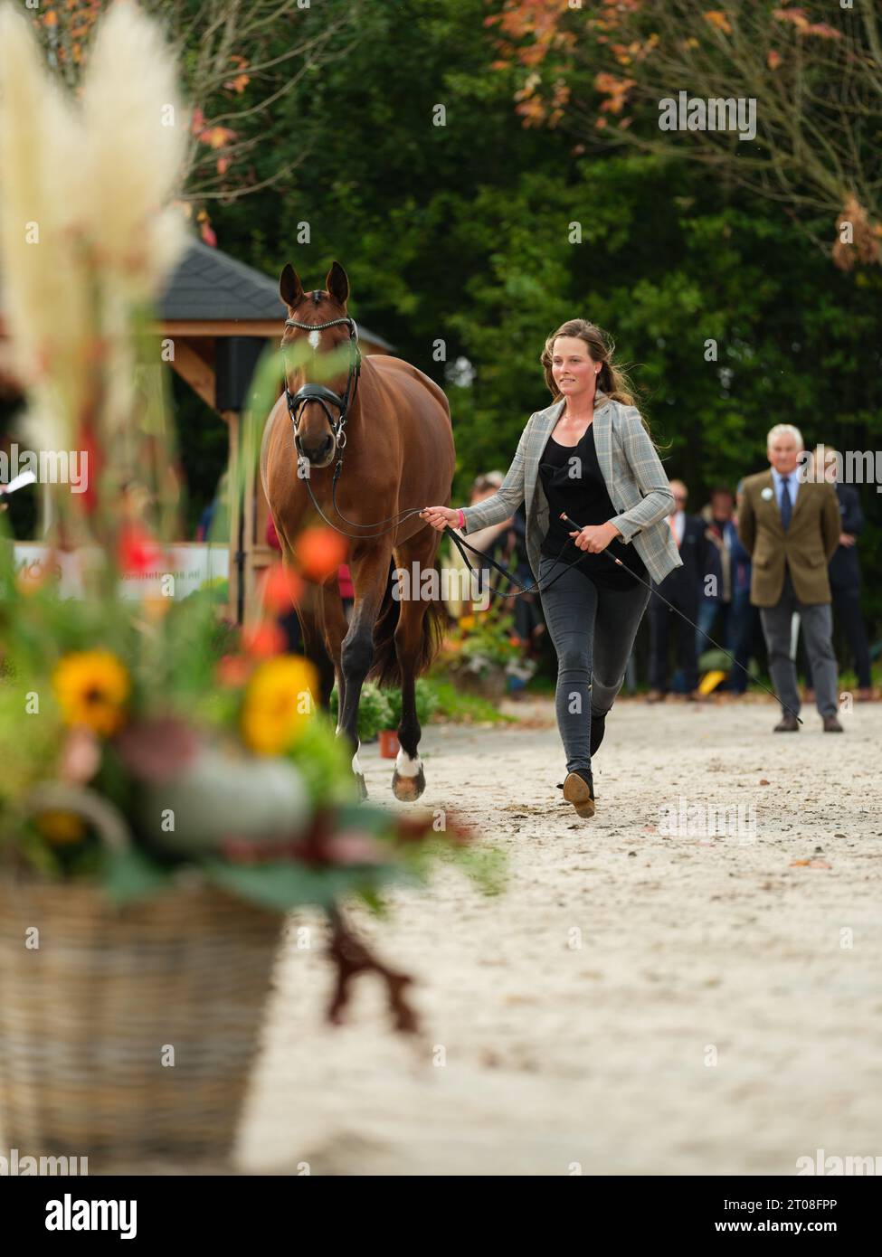 Janneke BOONZAAIJER of Netherlands with I'M Special N during the first