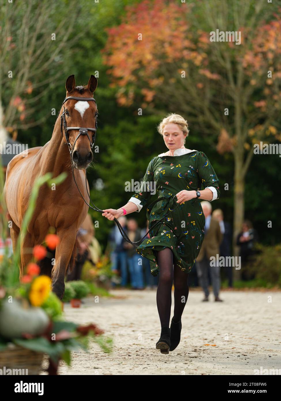 Althea BLEEKMAN of Netherlands with Granncord during the first horse