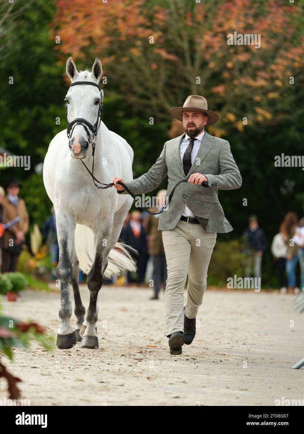 Boekelo Horse Trials 2024 Results Today Live Teddy Shelba
