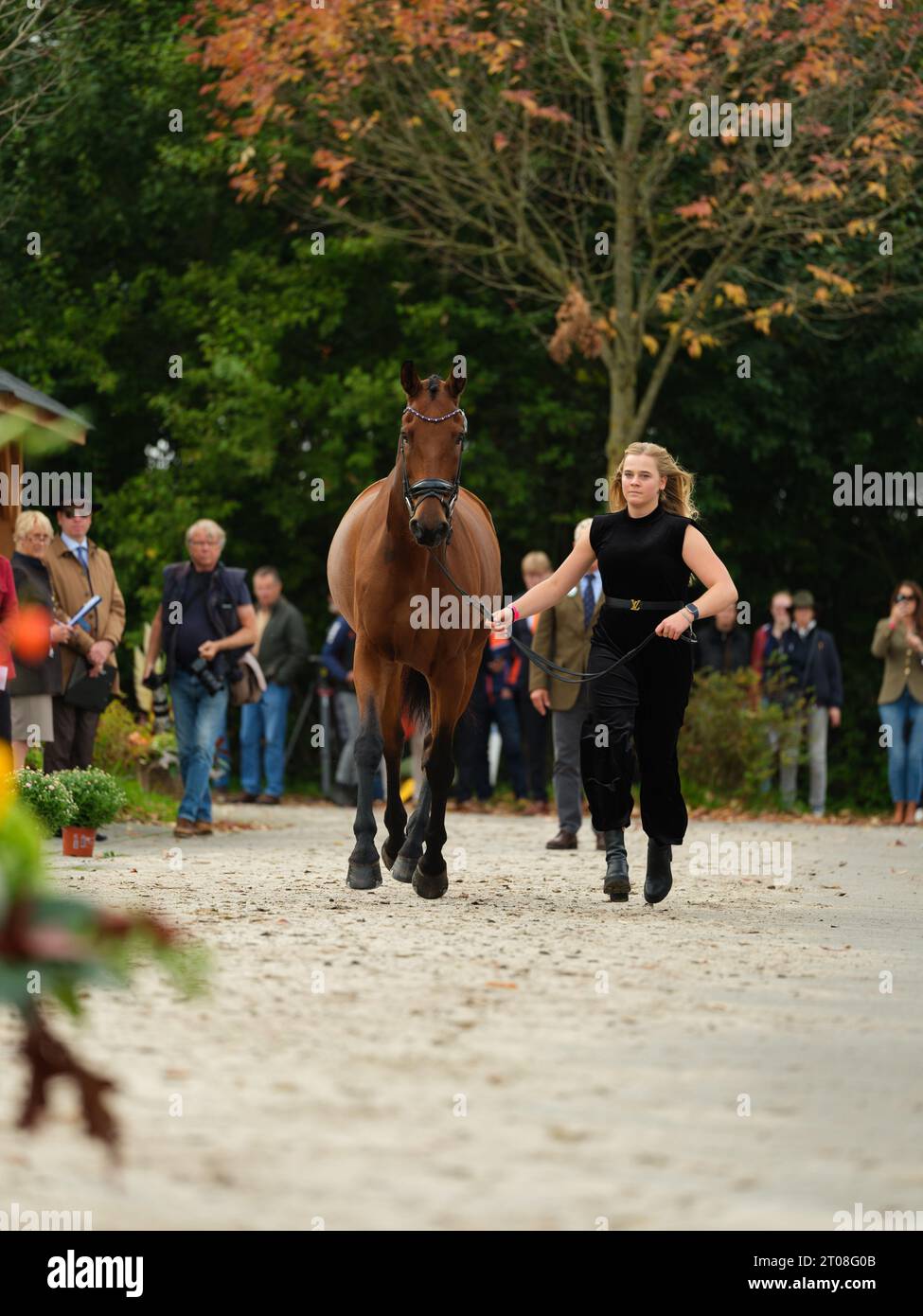 Maartje VAN RIEL of Netherlands with Eppo during the first horse inspection at the Boekelo Horse