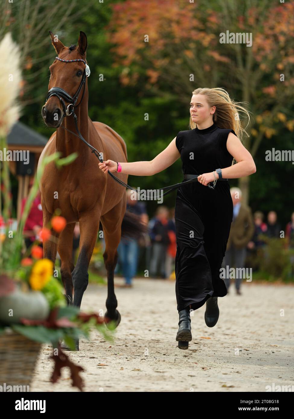 Maartje VAN RIEL of Netherlands with Eppo during the first horse