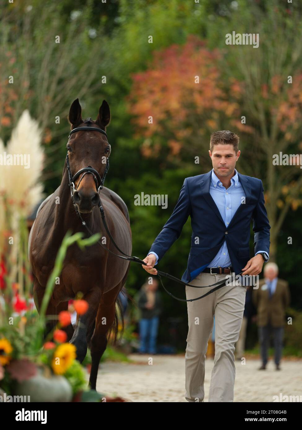 Wouter DE CLEENE of Belgium with Quintera during the first horse