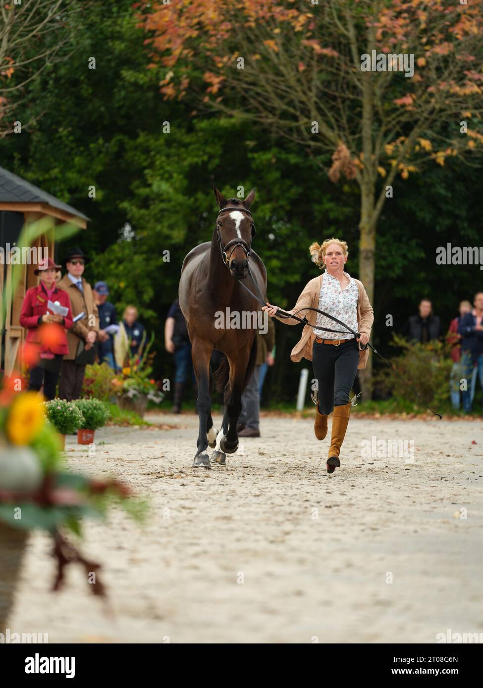 Rosalind CANTER of Great Britain with Mhs Seventeen during the first horse inspection at the