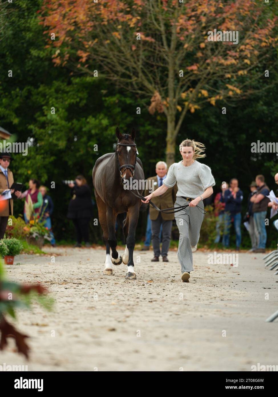 Rose NESBITT of Great Britain with Eg Michealangelo during the first