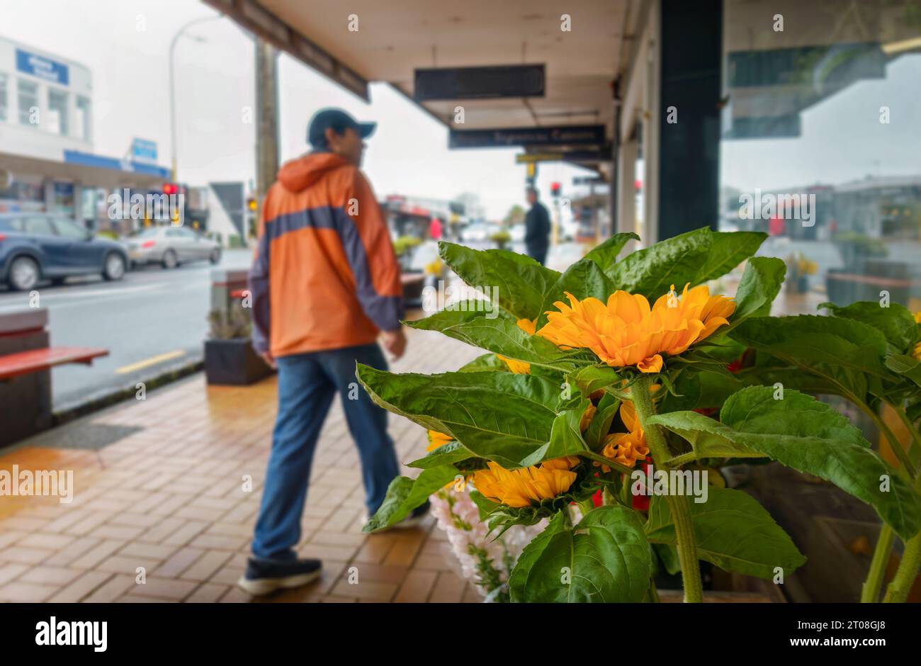 Sunflowers on display outside a flower shop. People walking on the