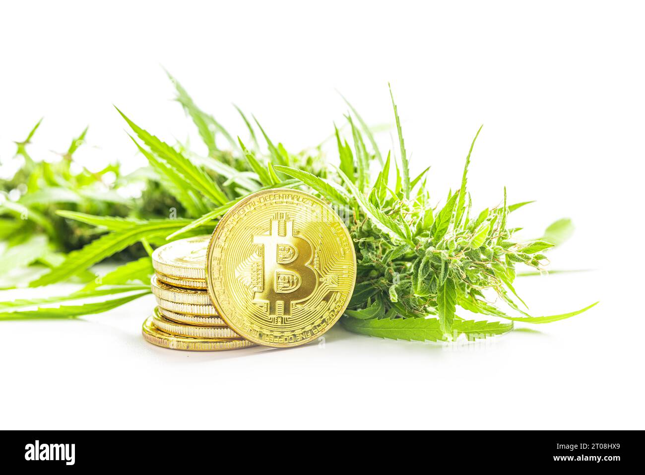 Cannabis Medical Marijuana Buds with Bitcoin Cryptocurrency Coins Stock  Photo - Alamy
