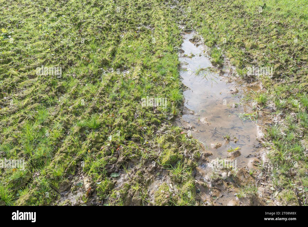 Autumnal post-harvested field waterlogged from autumn rains and bad field drainage. For seasonal weather and land management. Stock Photo